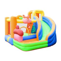 Doctor Dolphin Bouncer incl. 450W blower